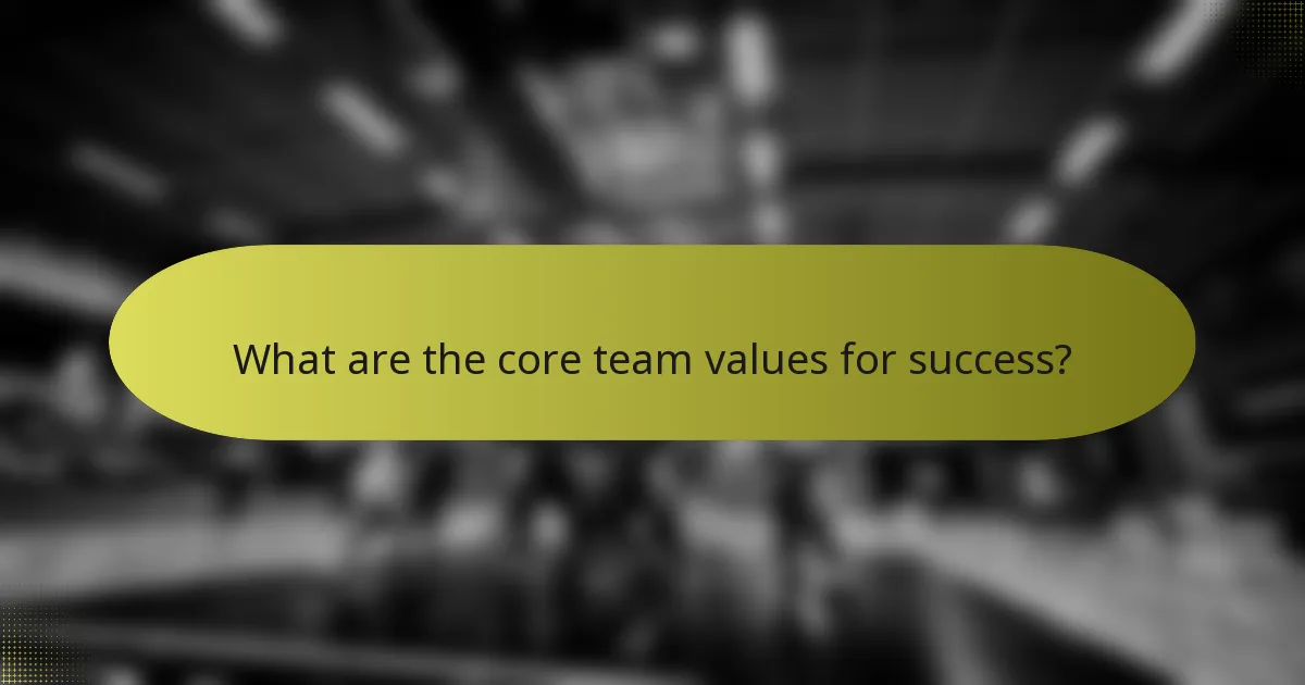 What are the core team values for success?